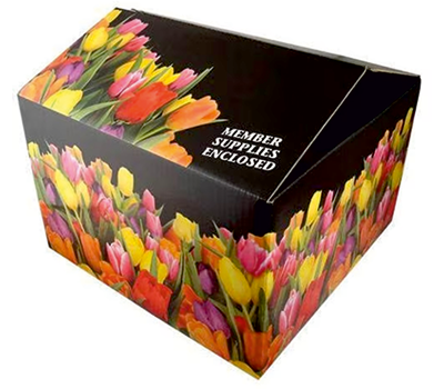 Multicolor Printed Corrugated Boxes