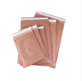 Plain Paper Courier Bag